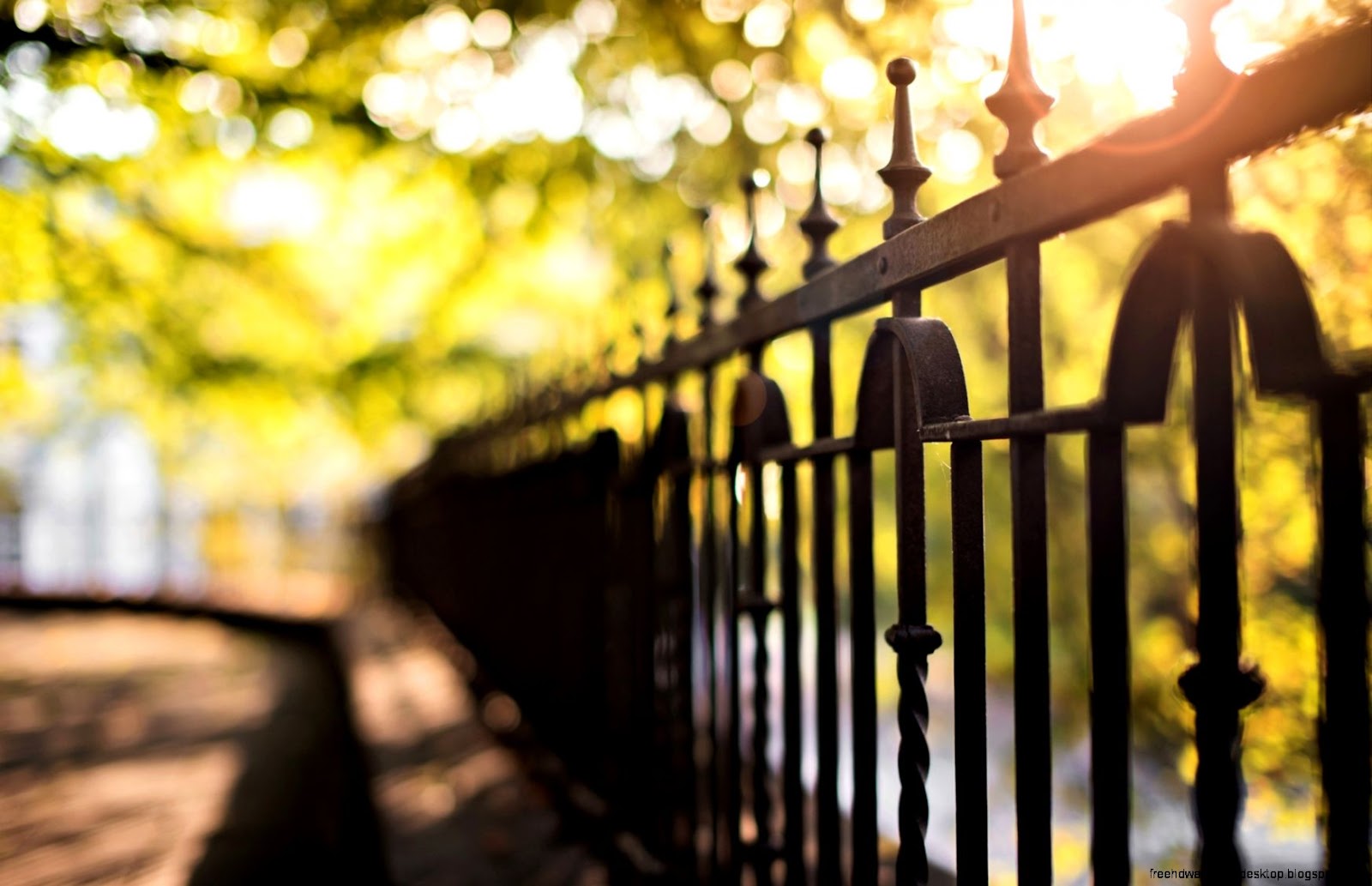 Summer City Lights Bokeh Summer City Lights Bokeh