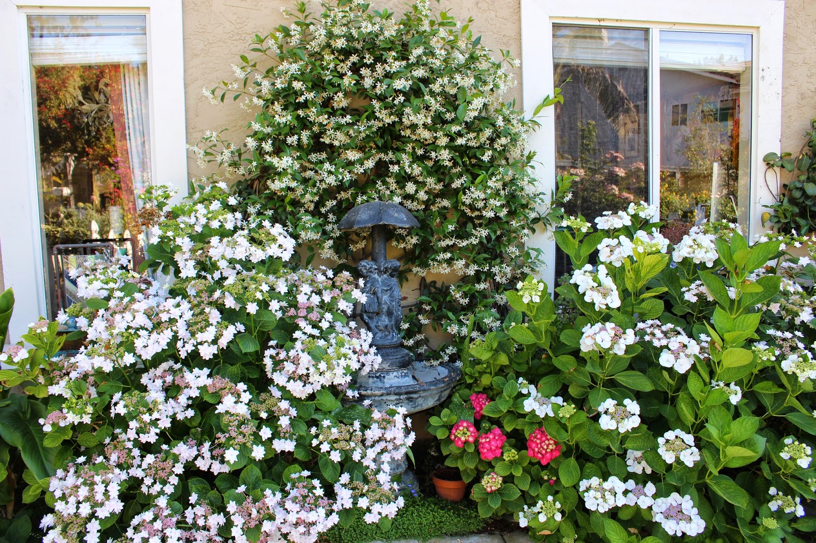 Rooted In Thyme Rooted in Thyme Gardens and Simple & Sweet Fridays 114