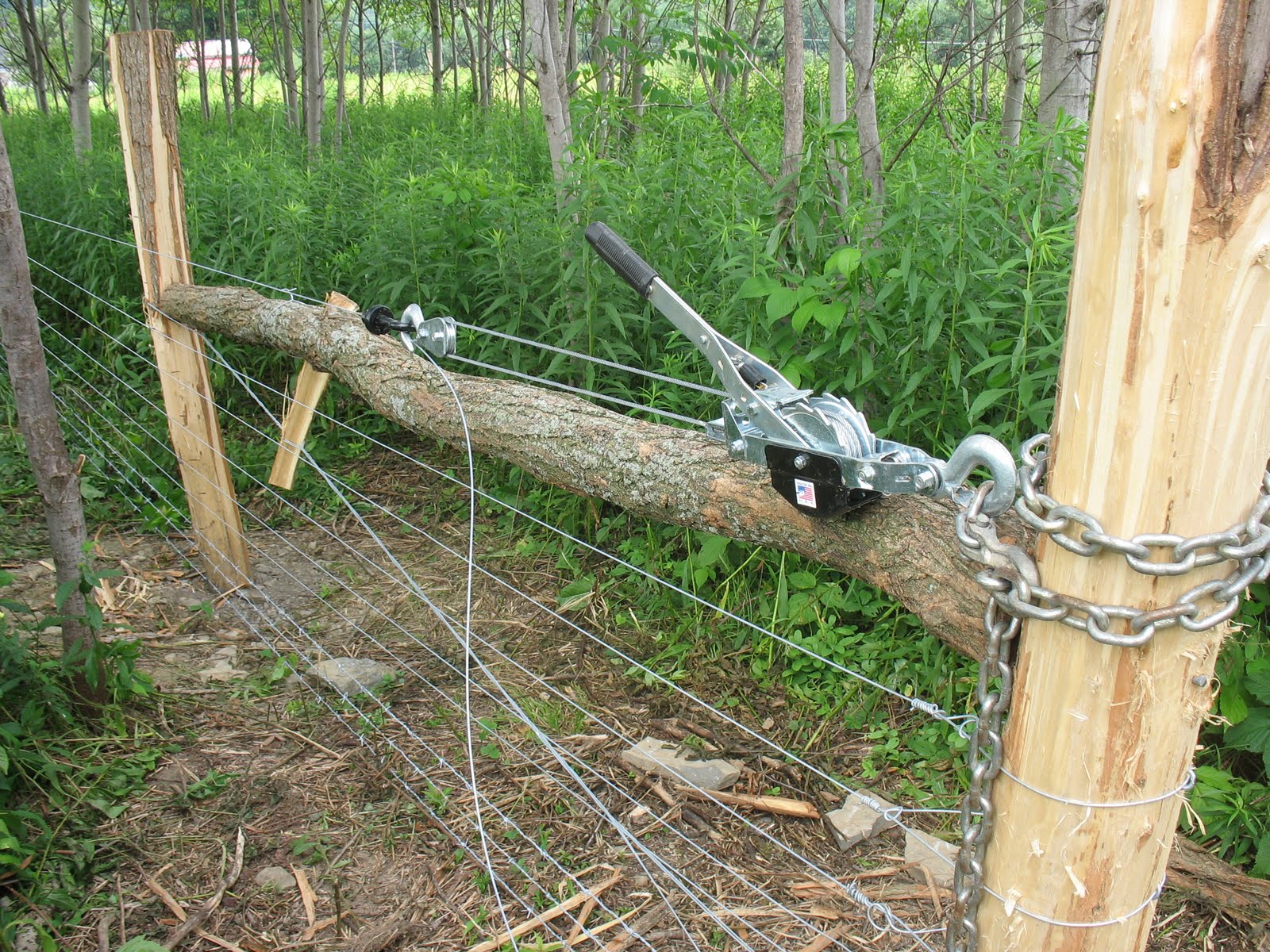Leeks In Our Vineyard "Very Fenciferous"