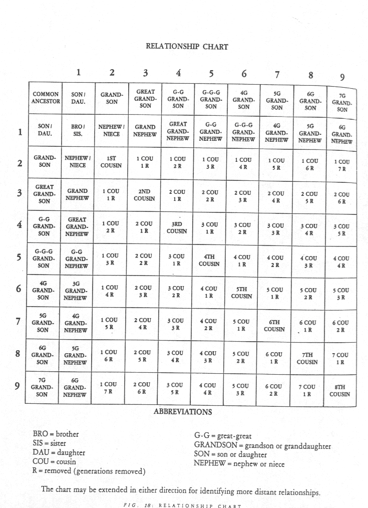 Family Relationship Tree