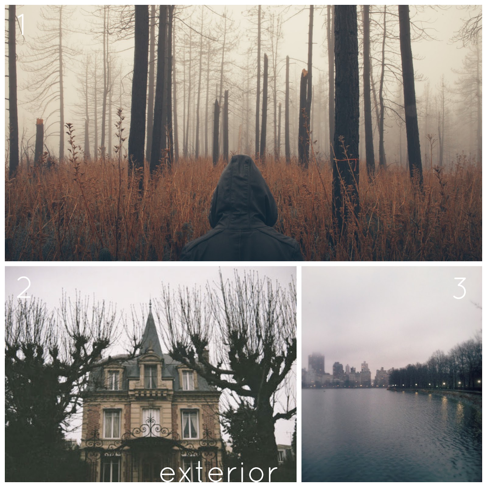 on my honor... Book Report Night Film