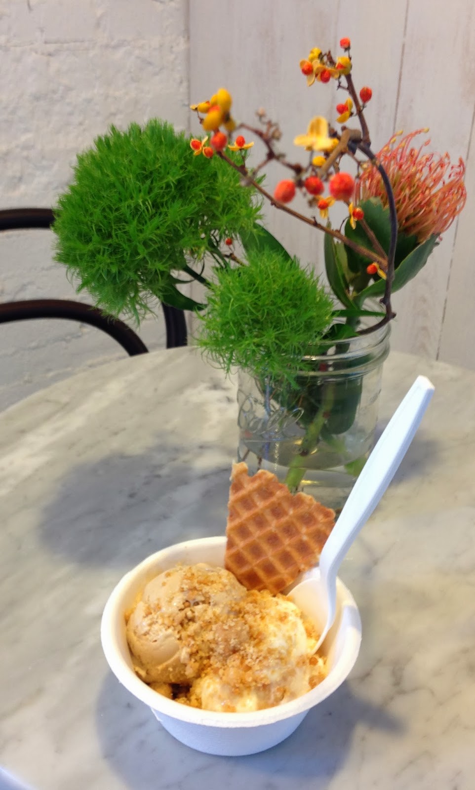 bluemopheads Jenis splendid ice creams...