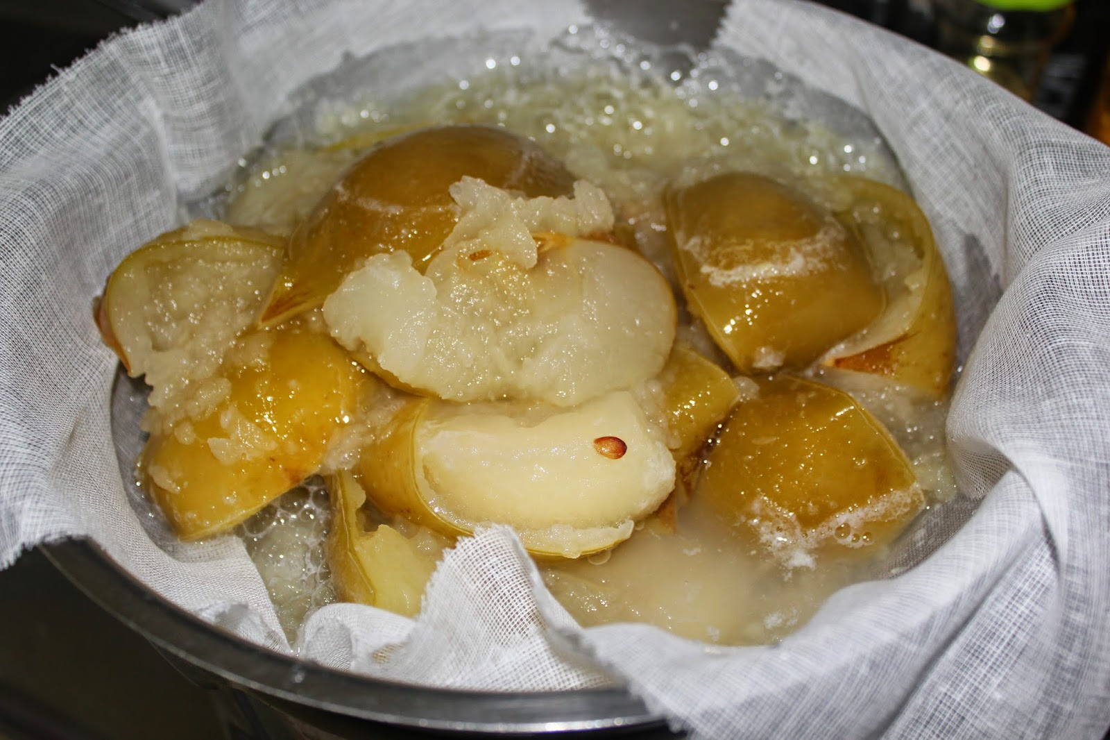 El mundo culinario de Cris Clase magistral de como hacer pectina