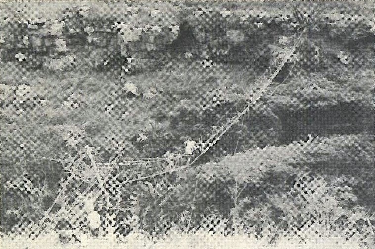 Ropes and Poles Suspension bridge by 1st Hillcrest Scout Troop