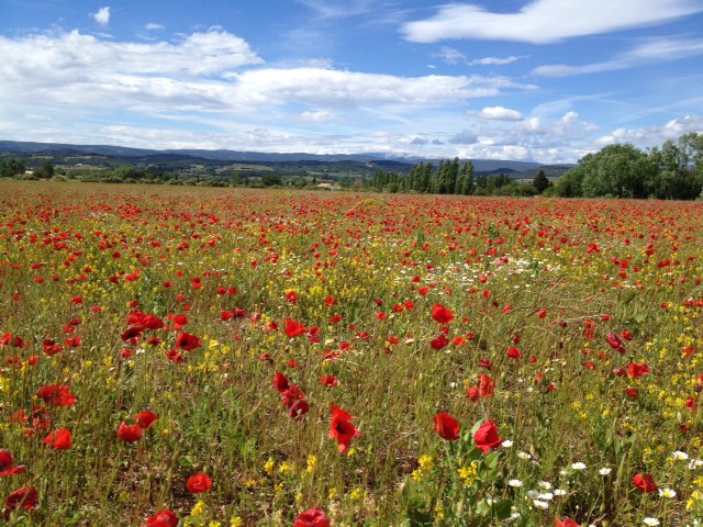 Traveling to Mont Ventoux - Pedal Dancer®