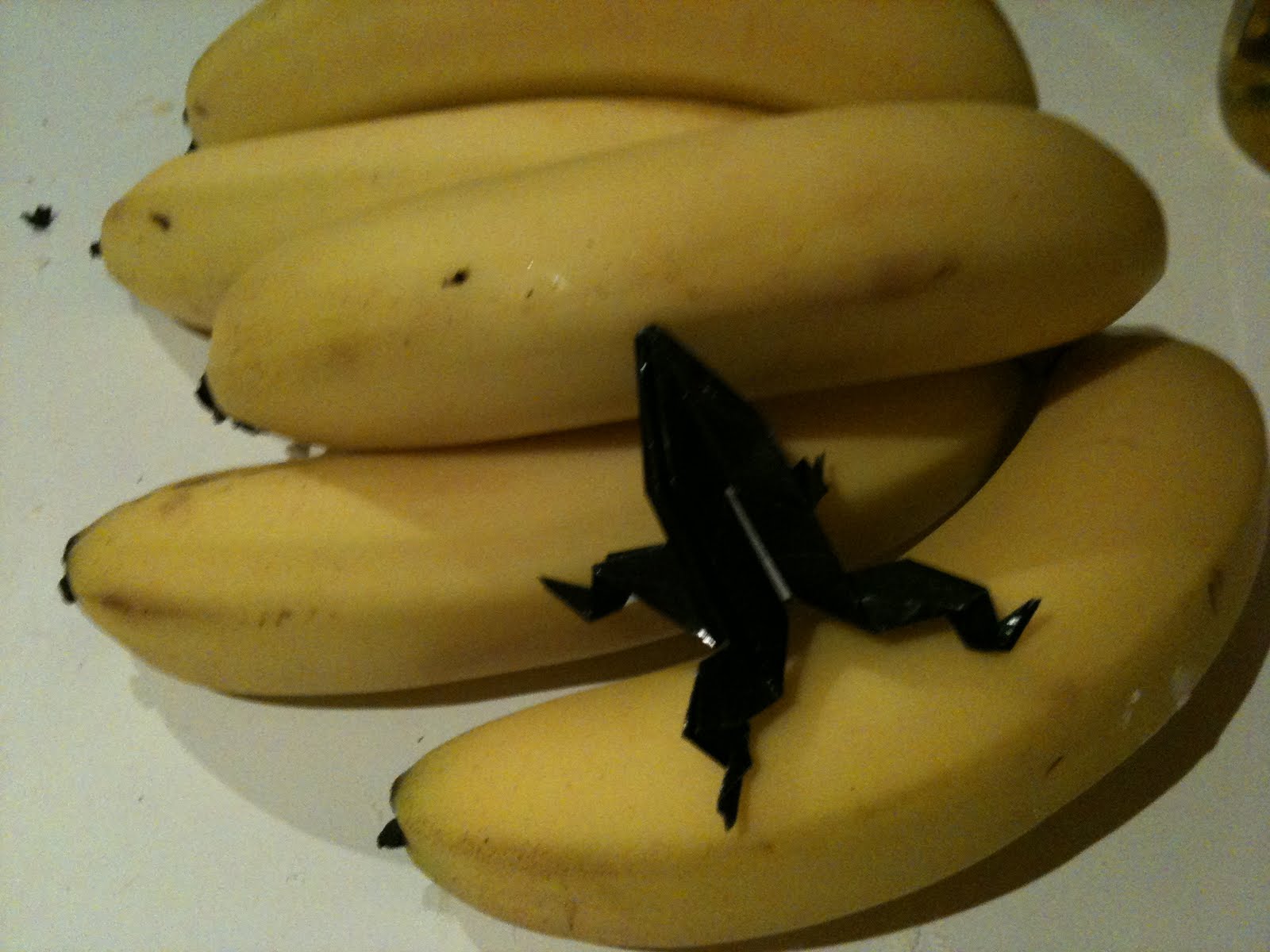 Frogblog: Frog feet (3)