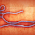 O que é o vírus Ebola?