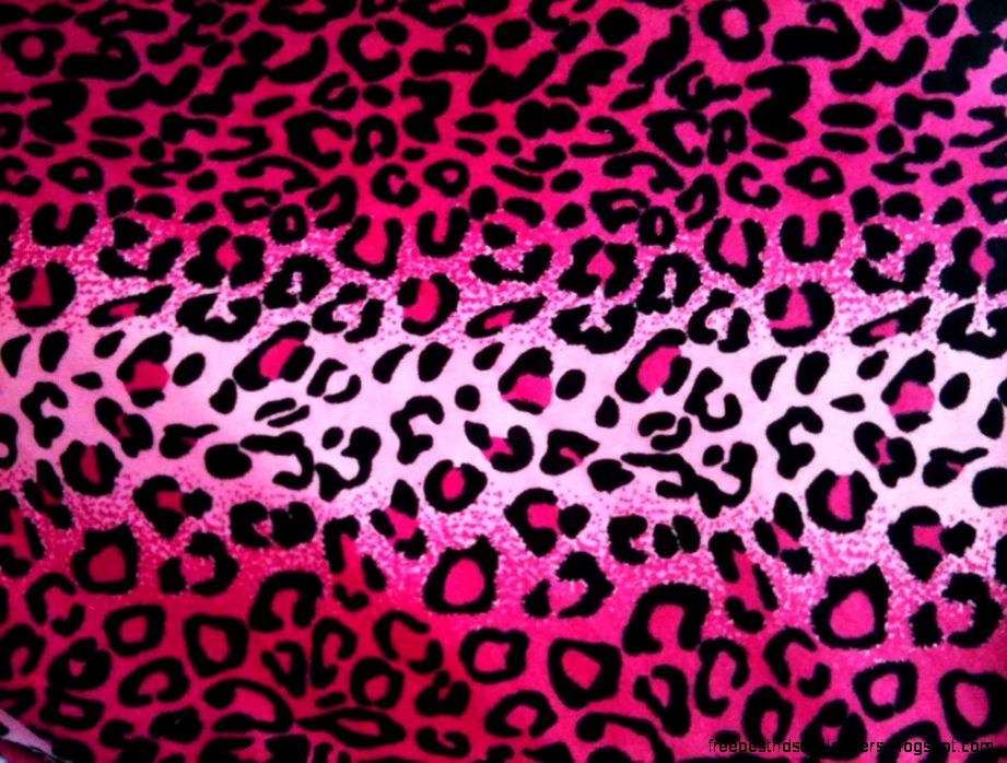 Cheetah Background Images Wallpaper Cave Cheetah Background Images Wallpaper Cave