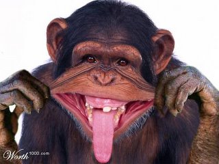 Gambar monyet senyum