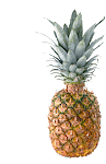 Piña