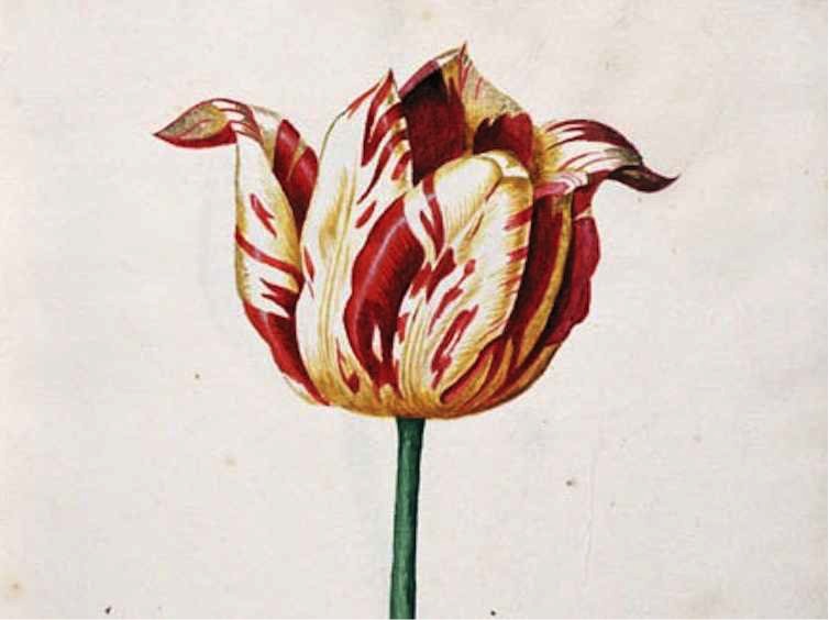 The Alfano Group real estate, stock, and tech bubbles; the first market crash in history