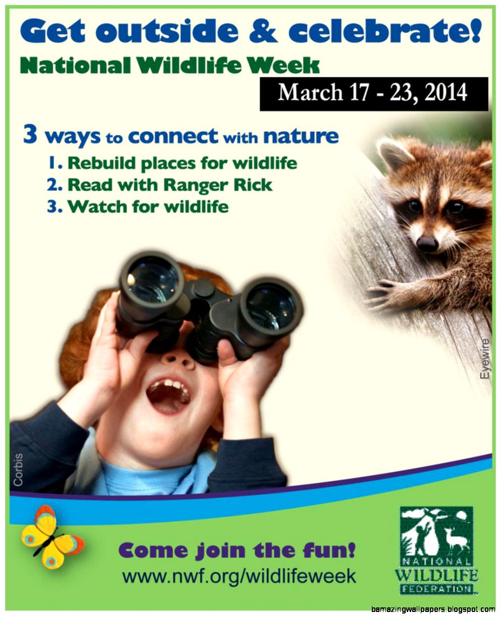 National Wildlife Week  Mississippi Wildlife Federation National Wildlife Week  Mississippi Wildlife Federation