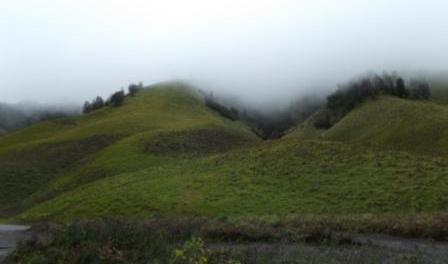 Bukit Teletubies Gunung Bromo