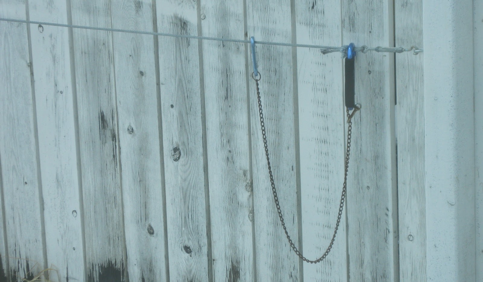 Stick This DIY Dog Tie Out