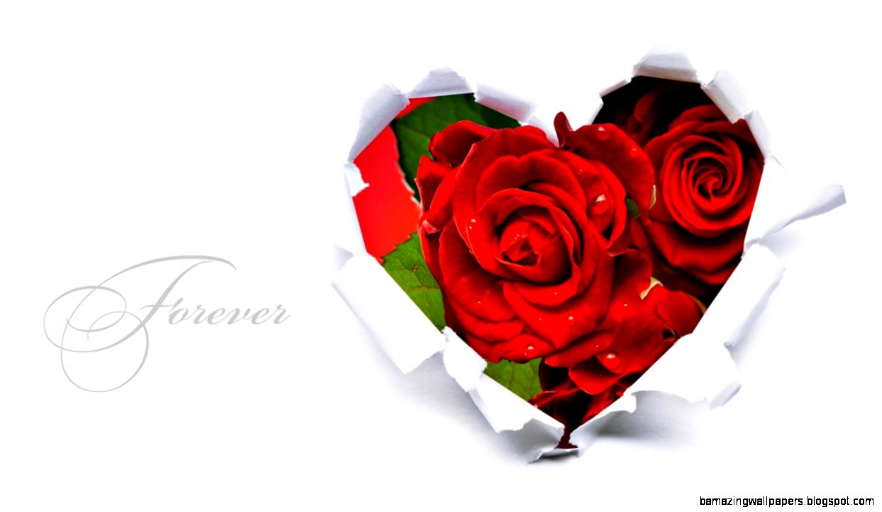 Rose Flower Love Image evikdvrlistscom Rose Flower Love Image evikdvrlistscom
