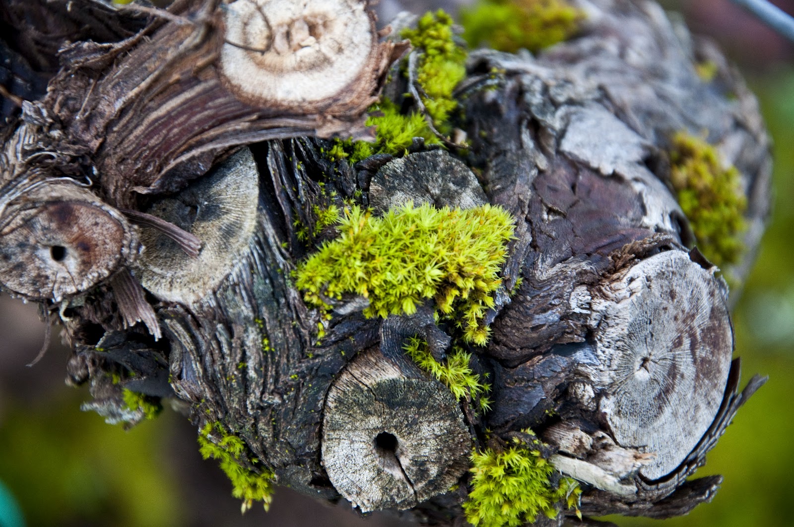 Angles Of Photography