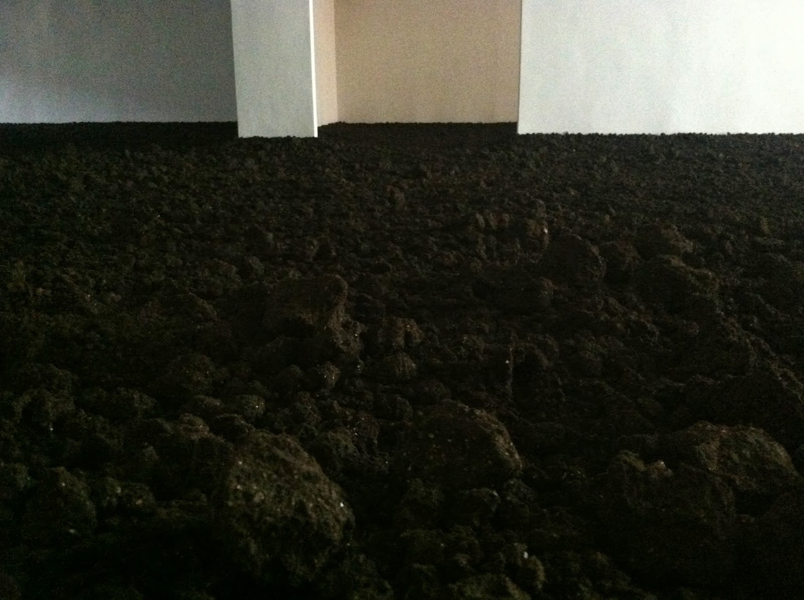 Single room, earth view answers picture