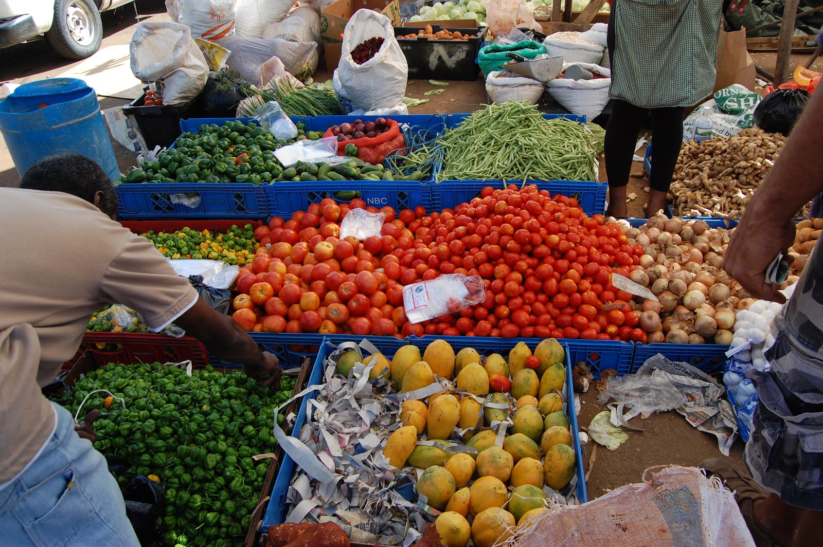 Jamaican Adventures A trip to the Kingston Fruit Market