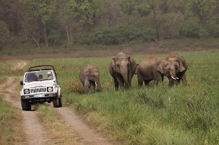 http://uttarakhand-tourpackages.com/weekend-tours/corbett-tour/