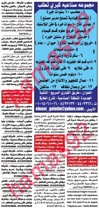 وظائف خالية من جريدة الوسيط الاسكندرية الاثنين 18-11-2013 %D9%88+%D8%B3+%D8%B3+14