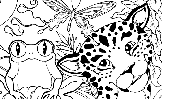 geografia em foco dica de site desenhos de espécies da fauna da