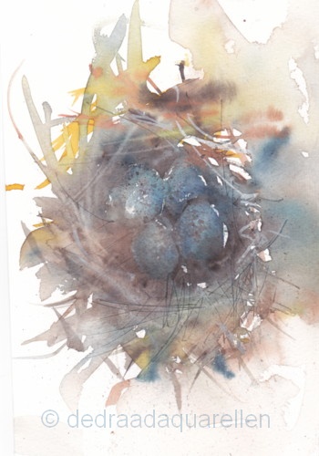 Hebban olla vogala... De Draad Aquarellen