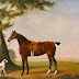 Μία όμορφη ιστορία του Paulo Coelho: Ένας άντρας, το άλογο και ο σκύλος του...