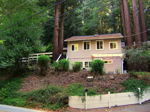 The bushes are coming back but it's still kinda barren in front. This