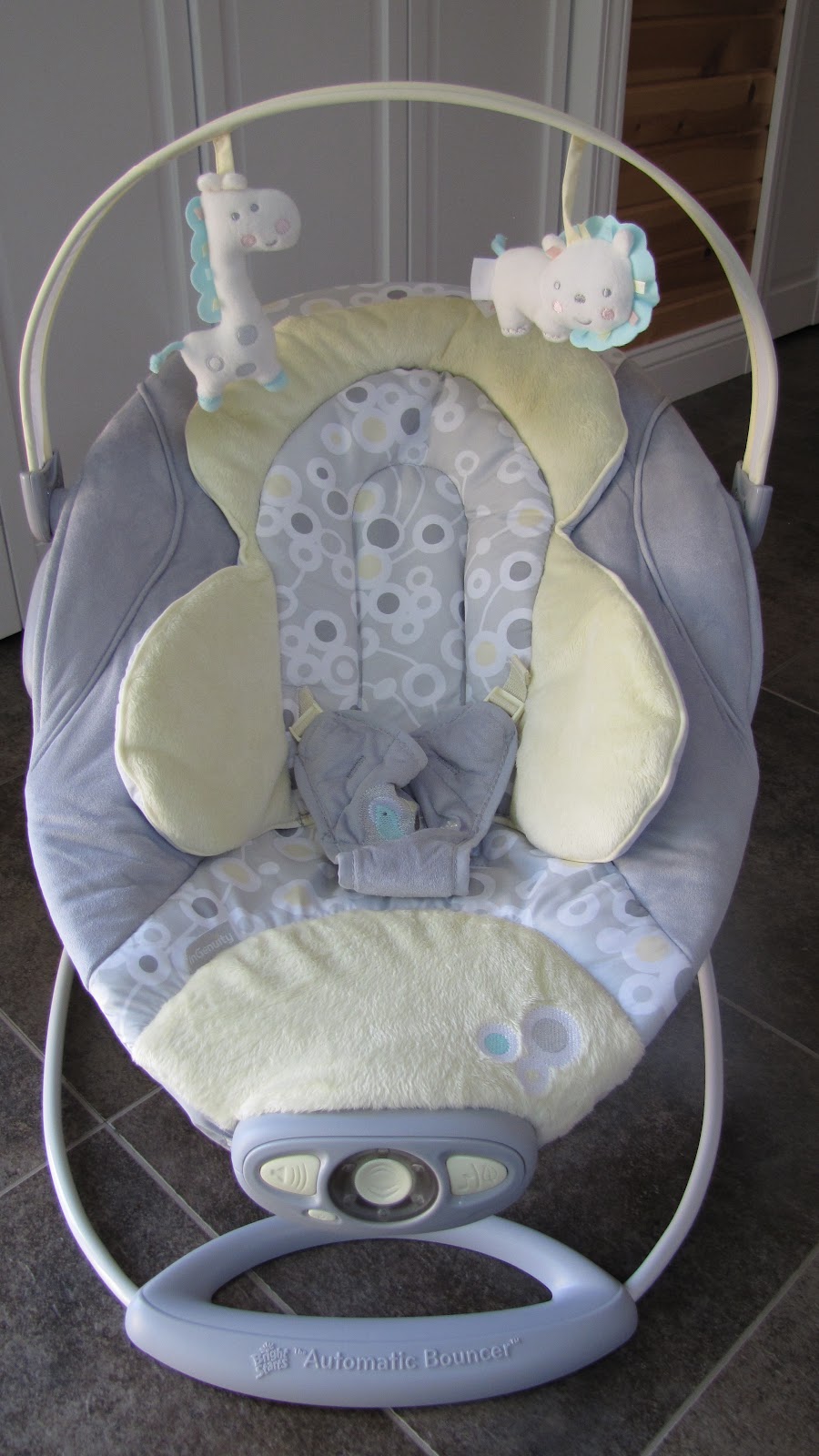InGenuity™ Automatic Bouncer™ ~ Review