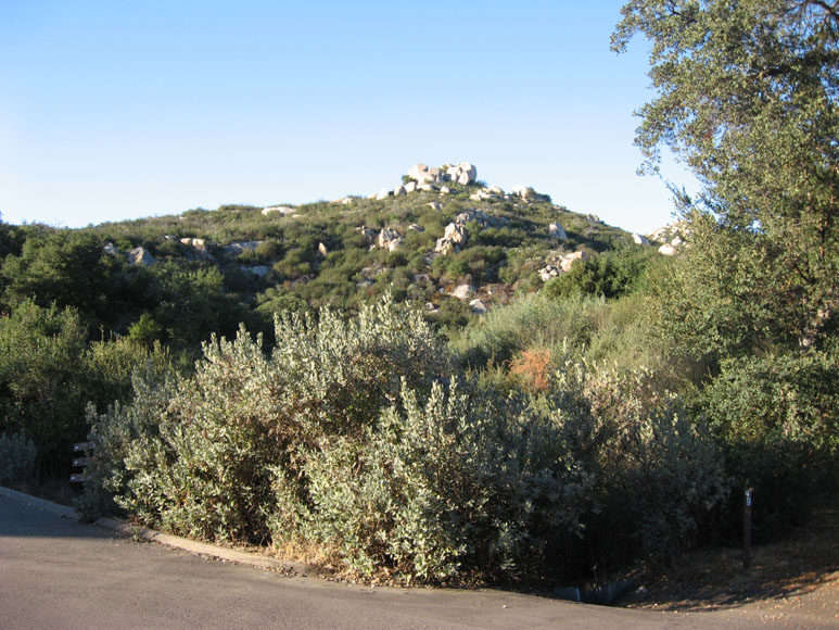 Richard S Travels Dos Picos County Park 2011