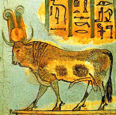 apis-bull.jpg