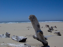 Oregon Beach