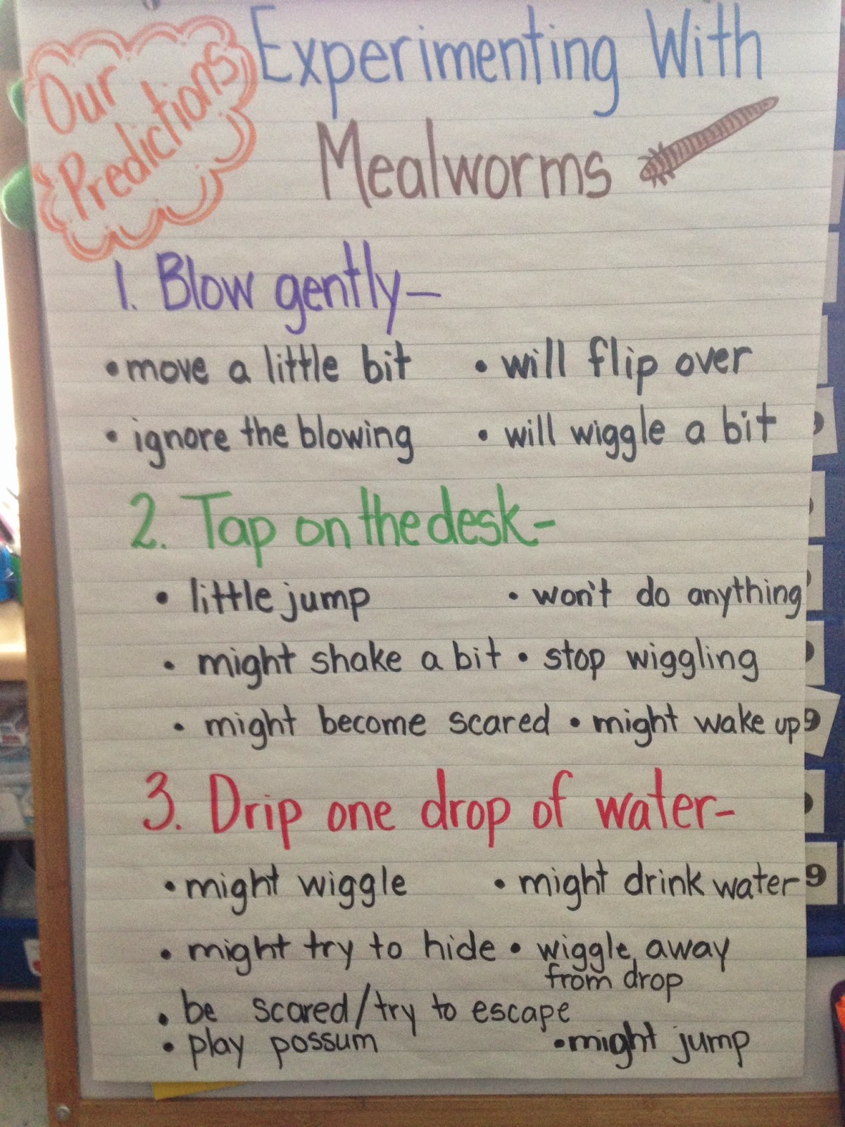 Mrs. Addison's Mon'STARS' Experimenting with Mealworms, Money Problems