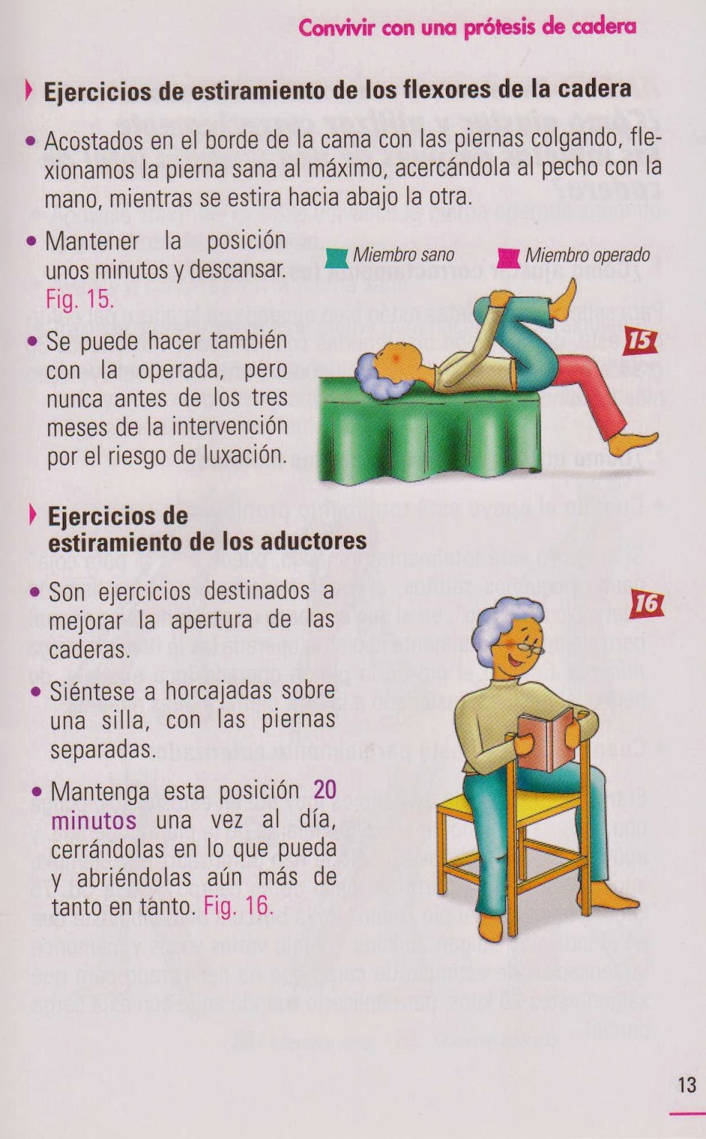 Ejercicios específicos para Prótesis de Cadera ~ Fisioterapia