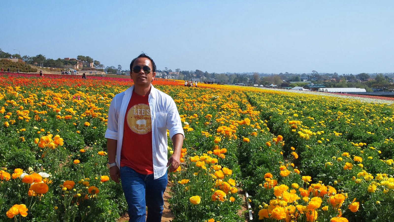 Flowers Field