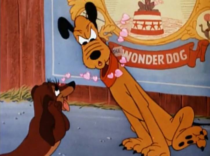 Disney Film Project: Wonder Dog