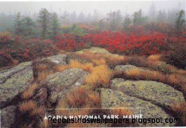 Postcards USPS Scenic America Postcards USPS Scenic America