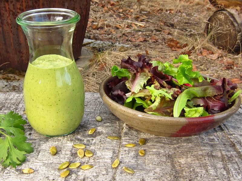 Arctic Garden Studio Mexican Goddess Dressing