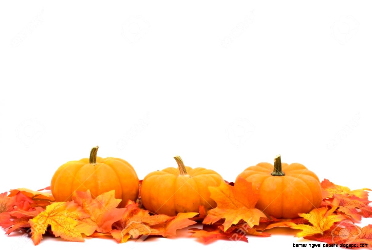 Fall Leaves With A Pumpkin Border At The Bottom Autumn Background Fall Leaves With A Pumpkin Border At The Bottom Autumn Background