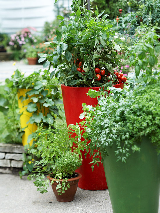 cottage garden fresh ideas for growing vegetables in cottage garden fresh ideas for growing vegetables in