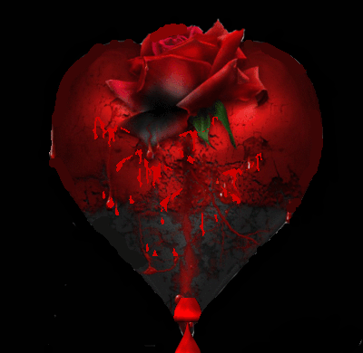 Rosa de Amor