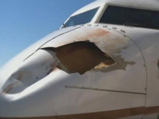 United Flight Collides With Bird On Descent To Denver United Flight Collides With Bird On Descent To Denver
