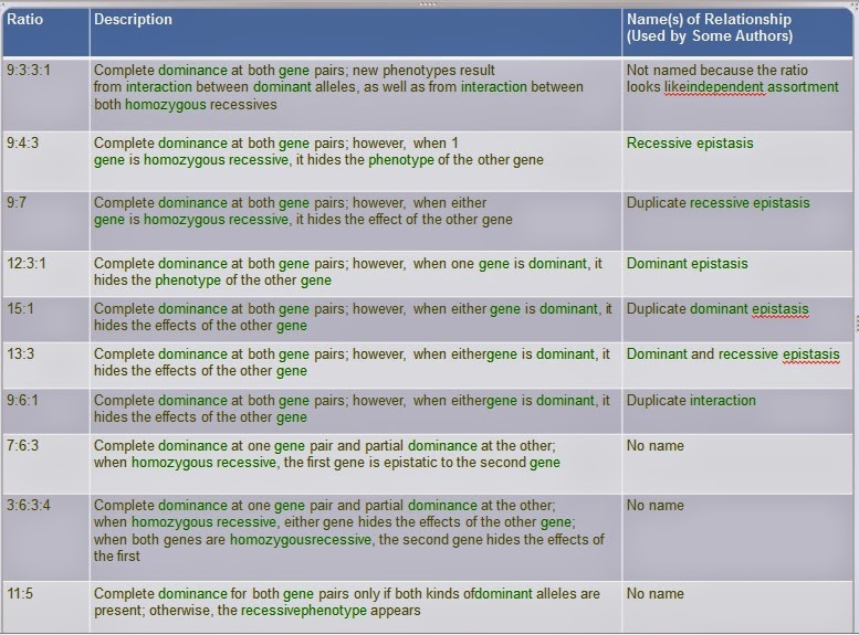 epub basic tactics for