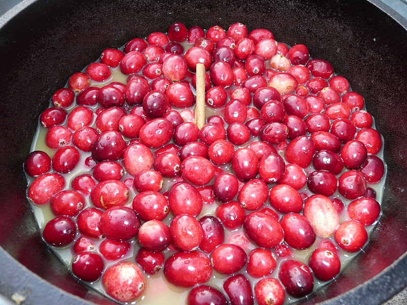 Everyday Dutch Oven Seriously Orange Cranberry Sauce
