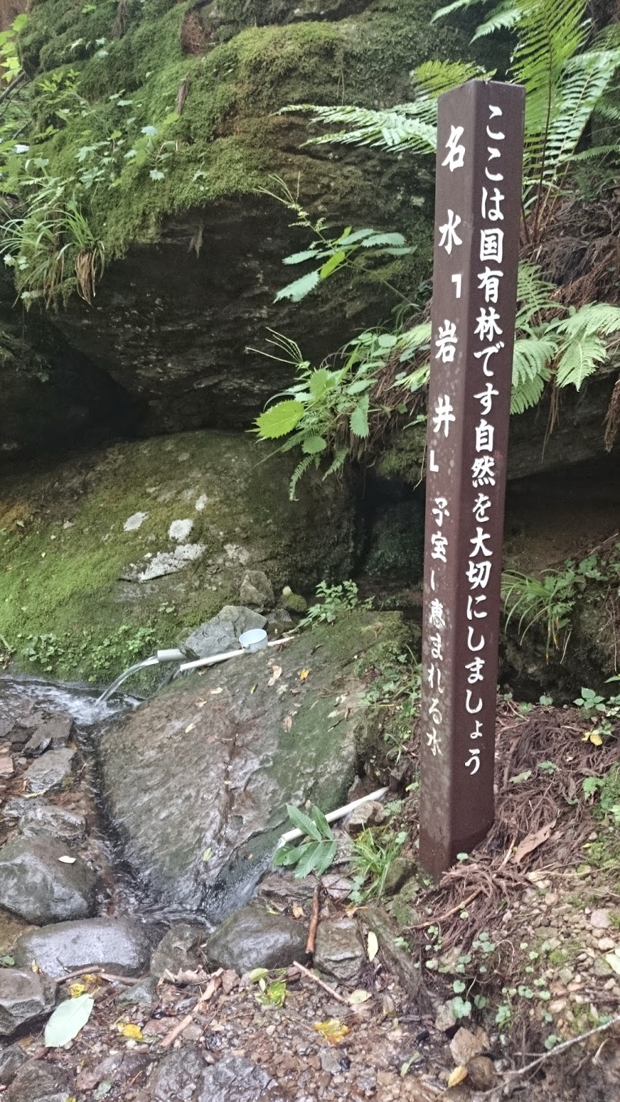 おおもとの日々 上齊原温泉