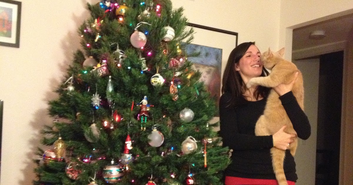 The Modern DIY Life DIY Christmas Tree Stand