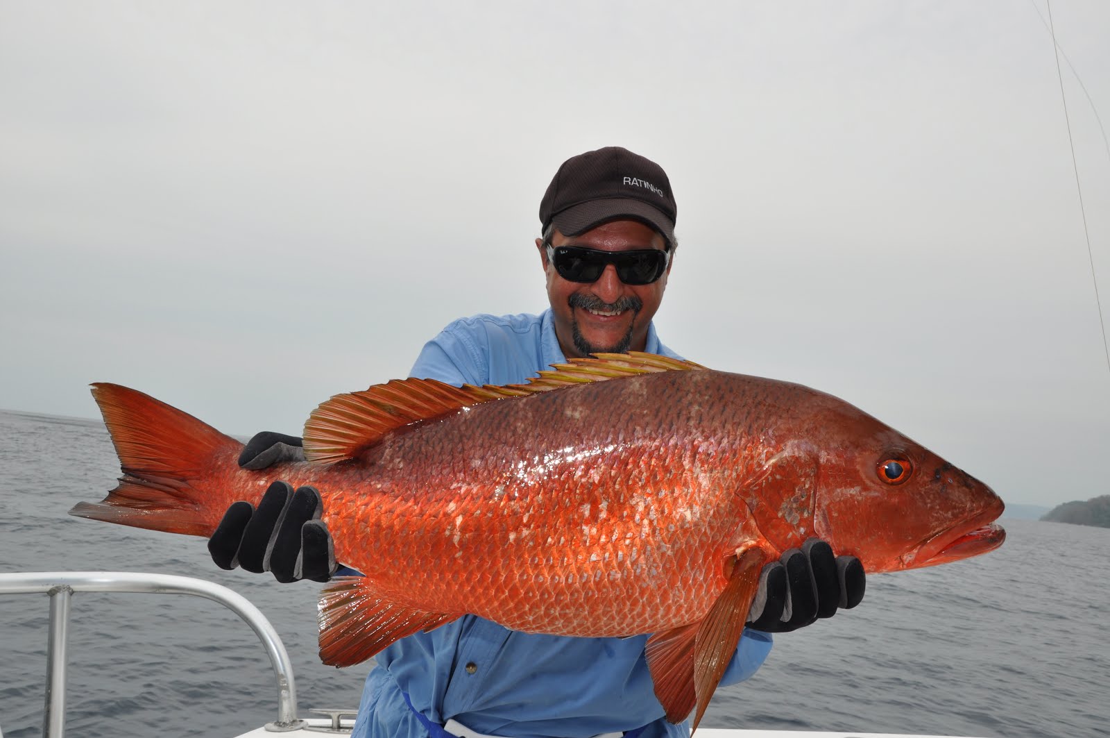 Caranha - Panamá