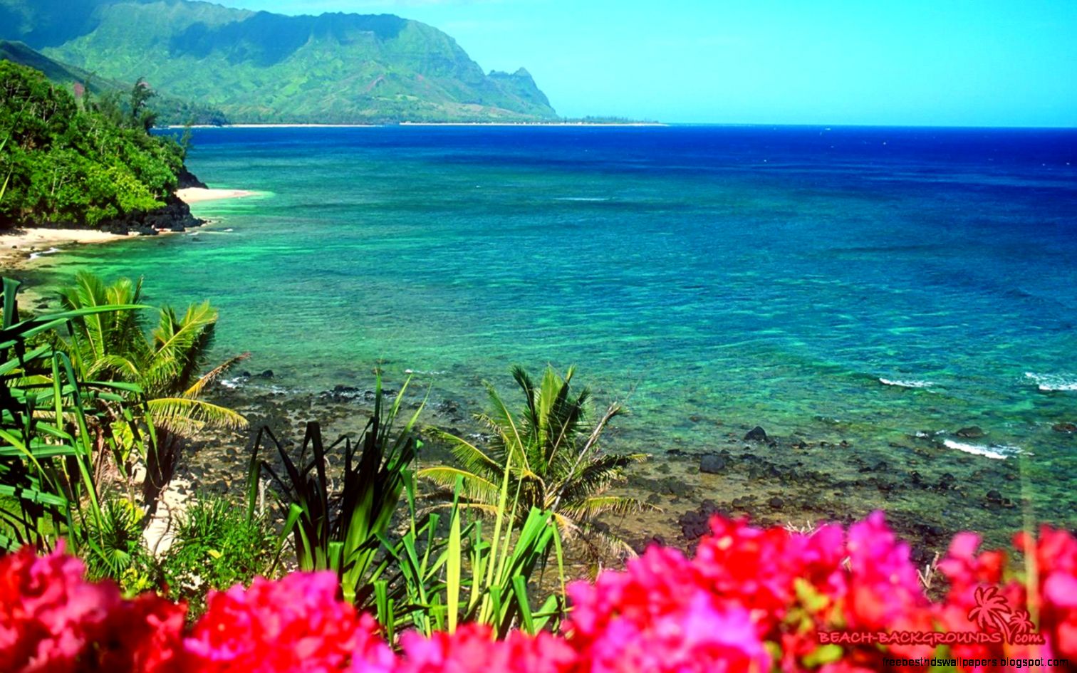 beautiful nature beach beautiful nature beach