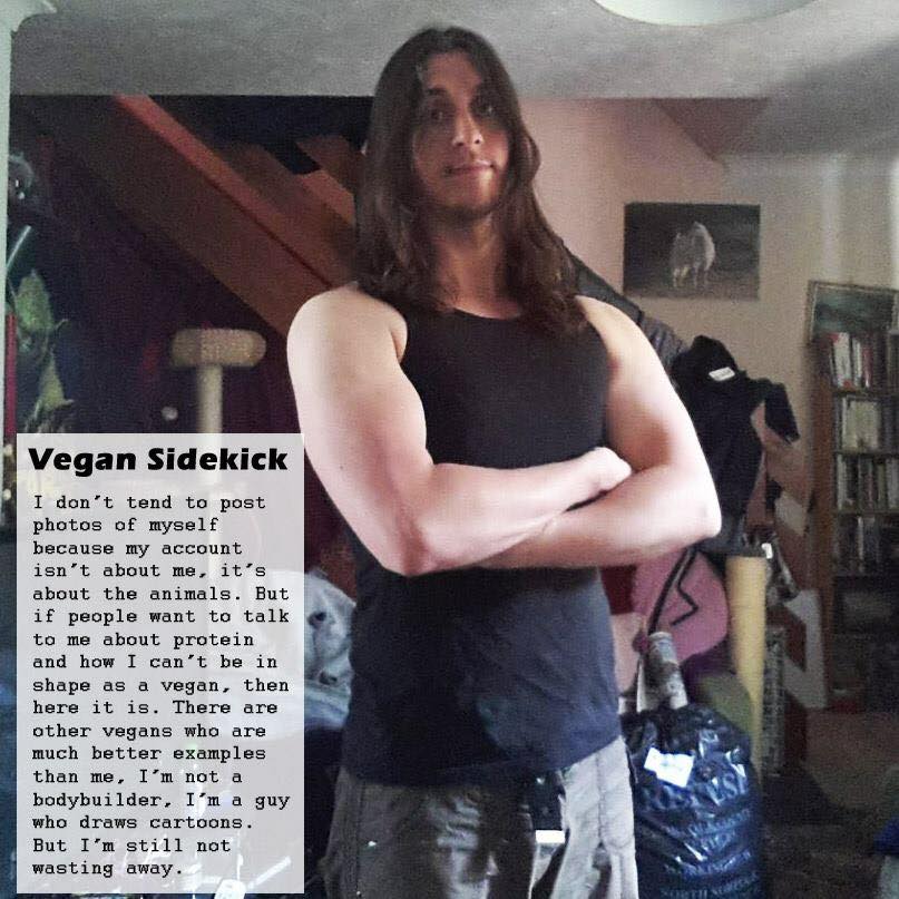 Into View INTERVIEW WITH VEGAN SIDEKICK