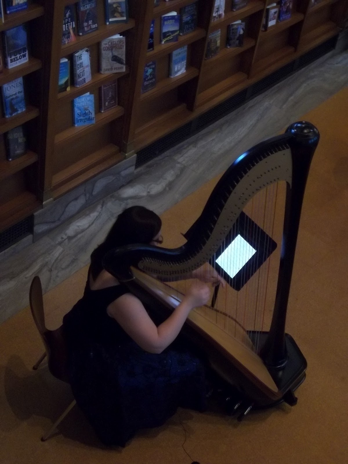 The Classic Harpist Indianapolis Harpist Rehearsal Dinner at the
